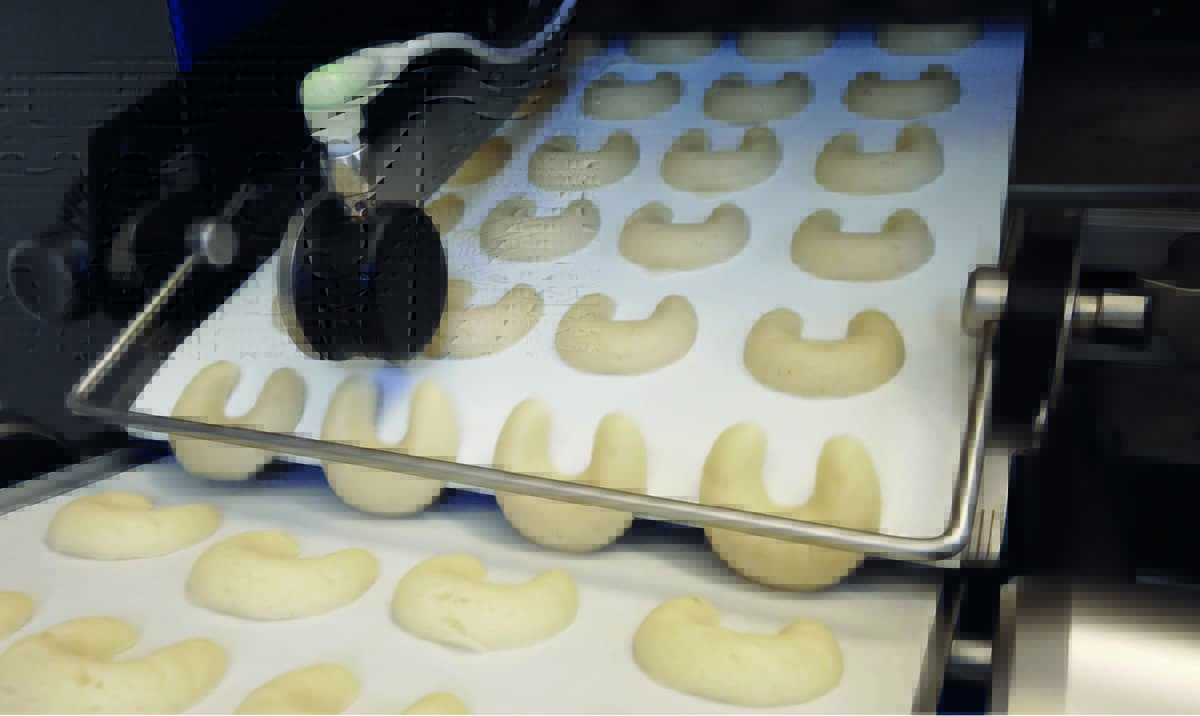 Janssen Keksmaschine F450 Kippschutzbügel